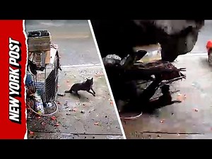 Massive boulder flies into family's driveway, smashing car into a pancake – but dog survives