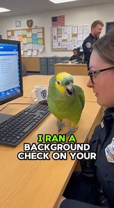 375K views · 3.8K reactions | PARROT Rejects Cop: "I Ran a Background Check on Your Exes!"  #fblifestyletyle #comedyreels #parrot #parrottalking #ViralVideo #Parrot #FunnyAnimals #parrots #Parody | Global Weird News | Facebook