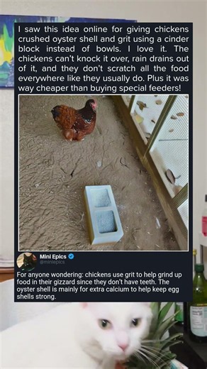 DIY Chicken Feeder Using a Cinder Block