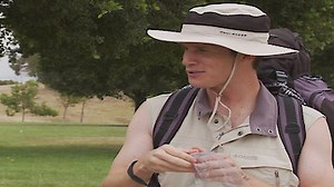 Watch Tosh.0 Season 2 Episode 22 - Episode 222