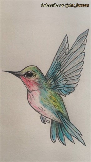 Hummingbird #shorts #art #drawing #like #comment #share #subscribe #support #easy