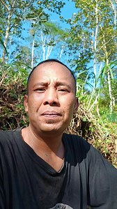 Cara menanam Porang yang baik dan di pastikan akan subur. #porang #petani #tani #walur | Udin e Dadung