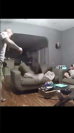 Dog destroys glass table.