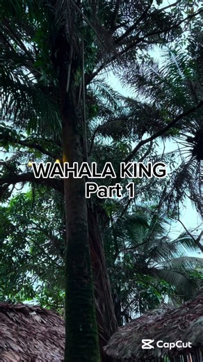 #whala king