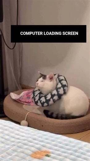 COMPUTER LOADING SCREEN