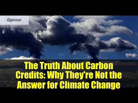 The Truth About Carbon Credits: Why They're Not the Answer for Climate Change