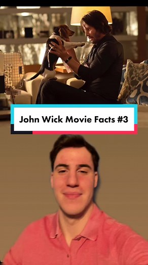 John Wick Dog Scene: Behind-the-Scenes Secret Revealed