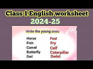 Class 1 English worksheet, class 1 English, English grammar worksheet for class 1, grade 1
