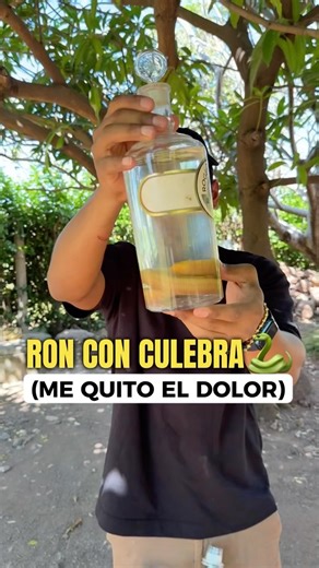 Doctor Rawdy, MD. 🧑🏽‍⚕️👨🏽‍🏫 | RON DE CULEBRA (CONTRA) 🐍- Me quito los dolores 😭 | Instagram