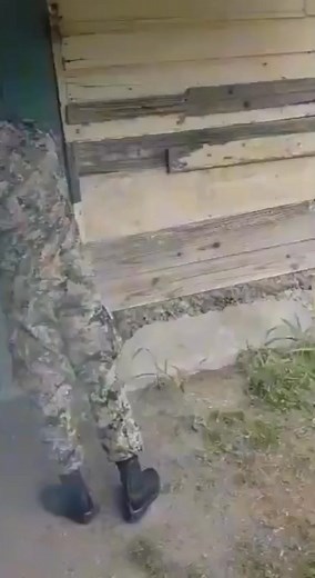 76K views · 354 reactions | JDF training. Thomas had to be tough . | Omar Montaque | Facebook