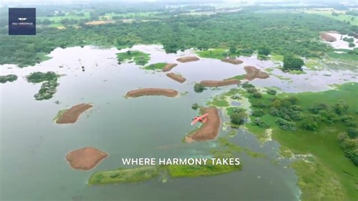 Yali ISR: Hybrid VTOL Drone for Forest Protection and Border Security | Yali Aerospace posted on the topic | LinkedIn