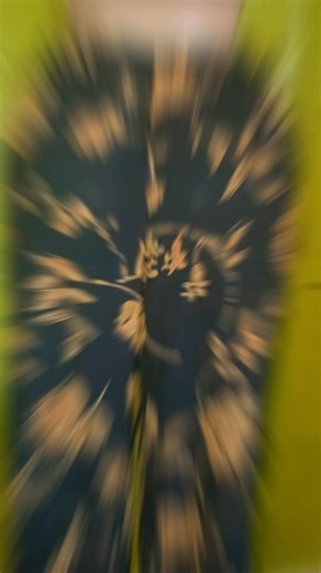 Palazzo trousers that hug right & flow right 😍 DM to order • Office ✔️ Outing ✔️ Church ✔️ One palazzo does it all • Affordable palazzos at LOOKS MTUMBA WEARS ✨ • Comfort style = palazzo perfection • Limited pieces — usiseme hukupata | Betty Muchonjo