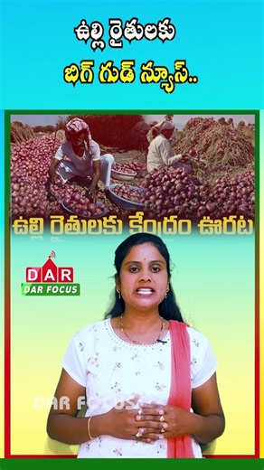 Onion MSP Hiked by 13% | Govt Sets Price at ₹1,715 per Quintal | Latest updates | DAR FOCUS