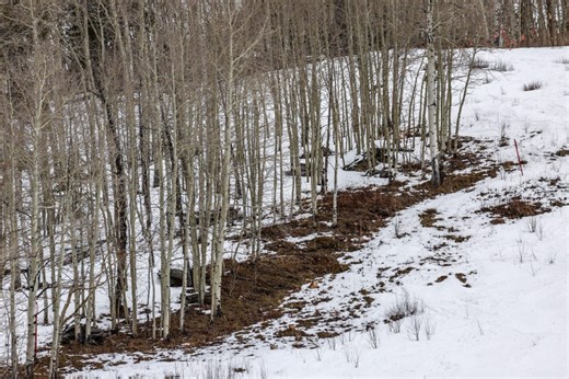 Climate change is already costing Colorado. A new report estimates how much the costs will rise through 2050.