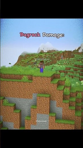 Minecraft Java vs Bugrock Damage Moment