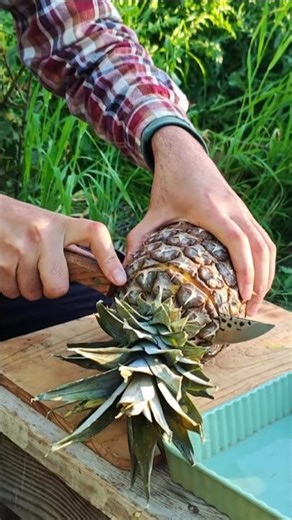 Cooking in Fruits?! 🍍 Stuffed Pineapple & Orange Tea 🍊🔥
