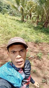 24K views · 1.6K reactions | Coffee mix vz Milo | Lumanay Felix | Facebook