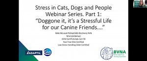 Stress in Cats, Dogs and People Webinar Series. Part 1: “Doggone it, it’s a Stressful Life for our Canine Friends….”
