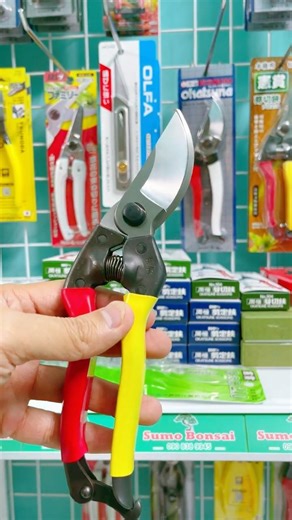 [Episode B035] Clearance Sale: 1 pair of Japanese scissors 09032026