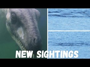 Loch Ness Monster New Sightings - Loch Ness Monster Witness!!!