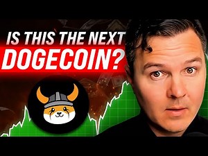 Floki: A Meme Coin’s Journey to Valhalla