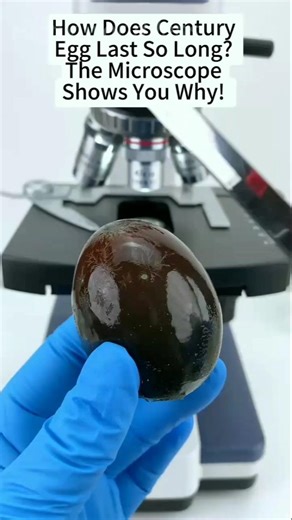 किंग कोबरा का अंडा under the microscope & short video &