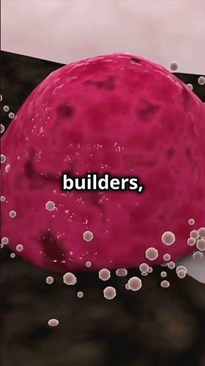 The Fascinating Process of Bone Healing