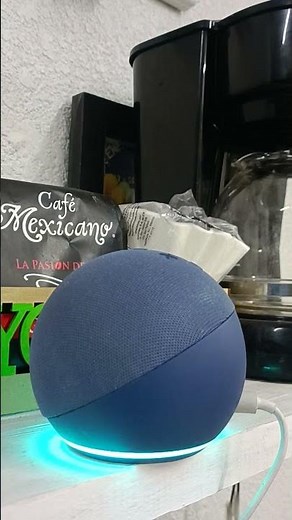 Alexa self-destruct😱🔥 #alexa #echodot #echo #ozdo #destruction #echodot3