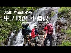 ● 尾瀬、小淵沢、2022/7/31、沢登り、小淵沢田代、湿原、尾瀬沼、トレッキング