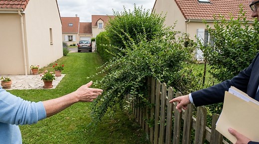 Haie du voisin qui dépasse : cette règle du code civil que vous enfreignez peut vous coûter très cher - Vie Pratique Féminin