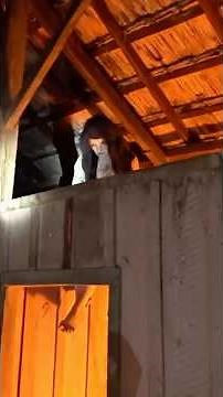 Terrifying ghost causes terror in house, summoning evil #terror #horror #ghosts #paranormal