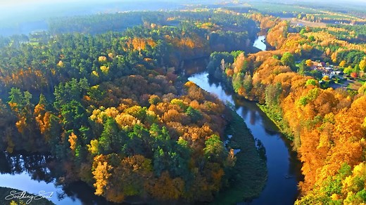 音乐可以治愈心脏和血管，平静的音乐恢复神经系统，放松 heals the heart and blood vessels