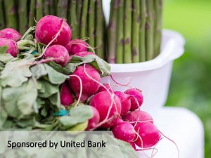 The Downtown Farmers' Market sponsored by United Bank is back! Select from fresh local produce, specialty foods, and handcrafted merchandise every Friday 11:30 to 3:30 at Tower Square Park. | Springfield Downtown
