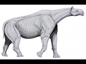 Oligocene period: Evolution of Modern mammalian's Ancestors (Part 20)