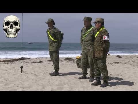 AAV-7A1 Assault Amphibious Vehicles Beach Landing