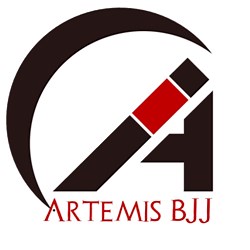 Artemis BJJ Classes, Locations, Camps