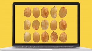 PLANTERS Sweet and Spicy Peanuts, Dry Roasted Peanuts, Spicy Nuts, Nuts Individual Packs, Party Snacks, Snack Nuts, Snacks On the Go, Kosher, 1.75oz (18 Pack)