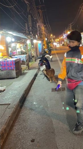 Street Dog Gets Perfect Back Scratch on Scooter