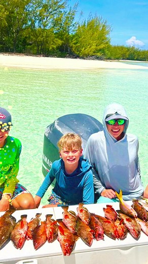 The Ultimate Adventure and tropical experience: Swim, Feed, Swing & Explore! 🌊🐷🐢🐠Looking for the perfect blend of thrill, nature, and pure island magic? Join us for a one-of-a-kind tour that packs all the best island experiences into one unforgettable day!What awaits you:🐷 Swim with the Famous PigsSplash and play with the adorable swimming pigs — one of the most unique wildlife encounters on the planet!🐢 Feed Majestic Sea TurtlesHand-feed gentle sea turtles in their natural habitat, creati