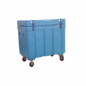 [Hot Item] Frozen Shipping Boxes Insulated Rotomolding Insulated Dry Ice Box
