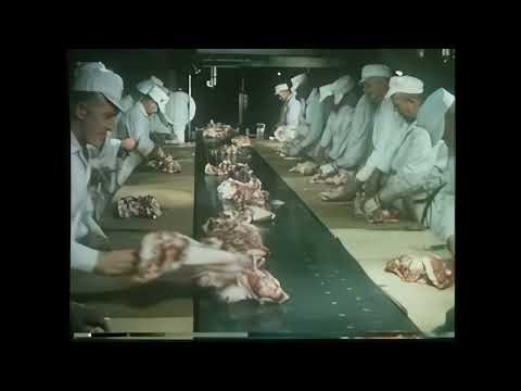 This Is Hormel (1965) | Restored 4K Industrial Film on Meat Production and American Food Industry