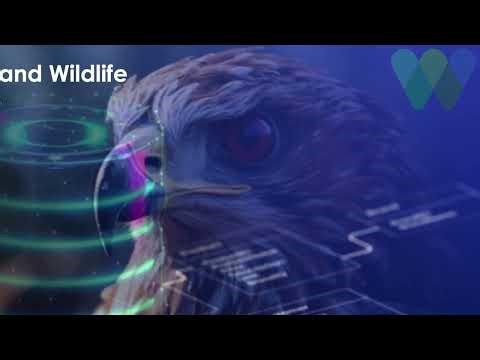 Two-minute elevator pitch for the HAWK data service