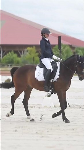 🎠 Reprise Équipe – Premier jour des Championnats de France Dressage As Poney Élite 2024 🌟