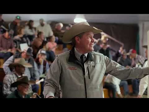 The 2023 Bull Sale | Coleman Angus Ranch