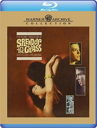 Splendor in the Grass Blu-ray (Warner Archive Collection)