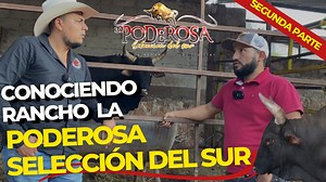 1M views · 22K reactions | Conociendo los toros de la Poderosa Selección del Sur de Tlaucingo Puebla ‼️ Llegamos hasta el estado de Puebla para conocer los ejemplares de la La Poderosa Seleccion del Sur de los Hnos Rios y a conocer todo el equipo poderoso 鸞 | Quítenselo que se lo traga | Facebook