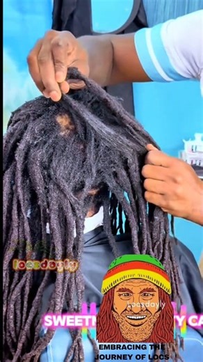 What an awesome job.. His confidence came back 🖤🤎 #locs #cleanhair #locrepair #goodhair #crown #loctober #viralpost | Locsdayly