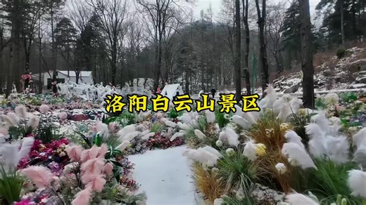 #洛阳白云山景区 #每一帧都是壁纸 #雾凇美景 #白云山 #旅行推荐官