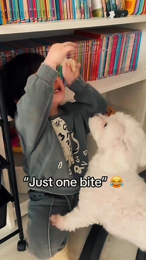 3.3K views · 35 reactions | Just one Bite | Nazmudeen Sherafudeen | Facebook