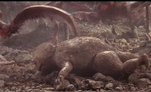 #minilla #godzilla #funny #fyp #xyzbca